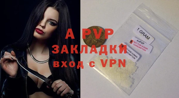трава Медвежьегорск