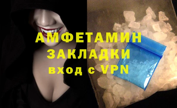 трава Медвежьегорск