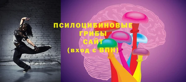 трава Медвежьегорск