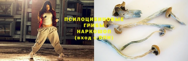 трава Медвежьегорск