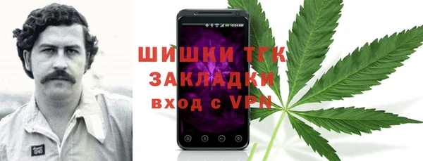 трава Медвежьегорск
