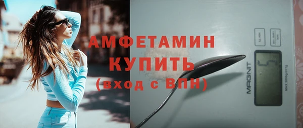 трава Медвежьегорск