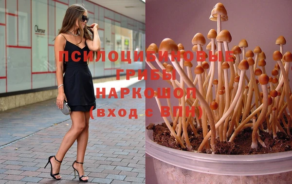 трава Медвежьегорск
