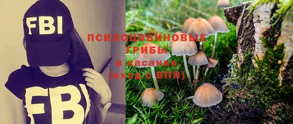 трава Медвежьегорск