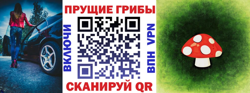 Купить где Кизилюрт Галлюциногенные грибы Psilocybine cubensis
