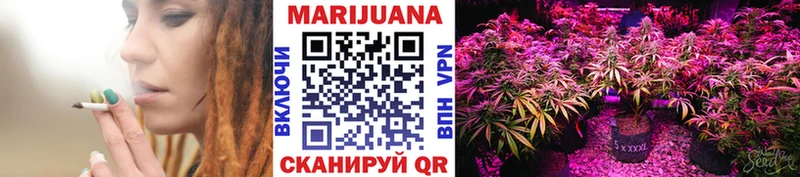 Купить где  Кизилюрт  Каннабис план 